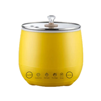Nouvelle Conception – Mini Cuiseur Électrique Multifonctionnel 1,8 L pour Voyage, Maison et Extérieur, avec Couvercle en Verre Trempé, 840W, Micro-ordinateur