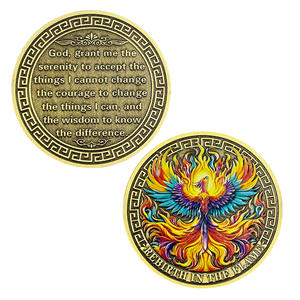 优雅的盾牌图案定制企业黄铜硬币锌合金散装可定制品牌和周年礼物 - Product Image 5