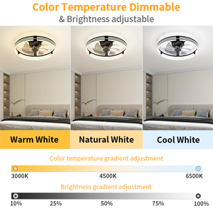 Intelligent Modern <b>Ceiling</b> Fan <b>Light</b> with <b>Remote</b>&App <b>control</b> Reversible Airflow Silent fan <b>light</b> for Bedroom Hotel kitchen - Product Image 4