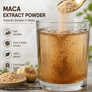 Extracto de <span class=keywords><strong>Maca</strong></span> Natural <span class=keywords><strong>en</strong></span> <span class=keywords><strong>Polvo</strong></span> 10:1 20:1 para la Vitalidad y Energía Masculina - Product Image 5