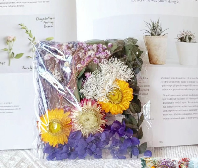 Matériel aléatoire pourpre de fleur séchée 1 sac