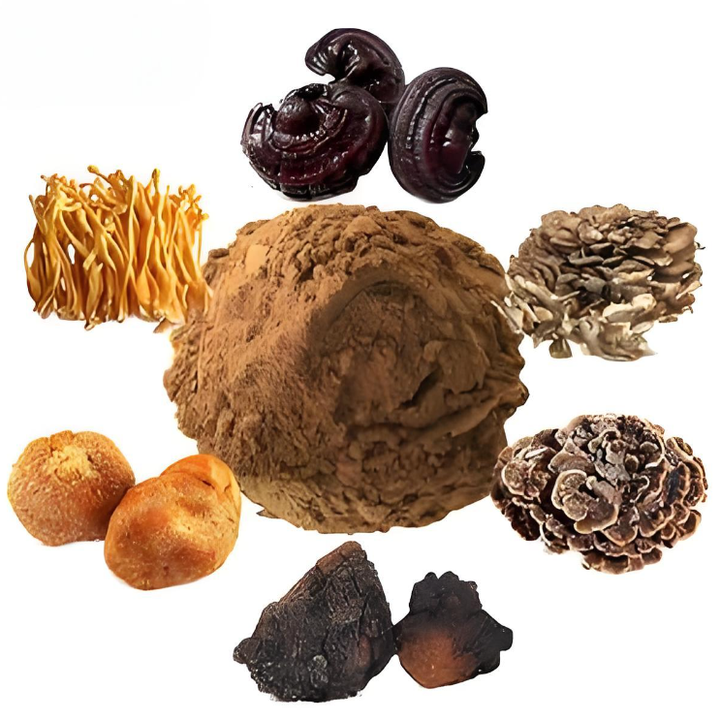 OEM/ODM Best Price 12 in 1 Mushroom Mixed Powder Organic 6 Mushrooms Blend Extract Mushroom Tea for Sale