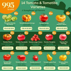 Pack de 14 <span class=keywords><strong>variétés</strong></span> de <span class=keywords><strong>tomates</strong></span> et de tomatillos, non-OGM, <span class=keywords><strong>variétés</strong></span> <span class=keywords><strong>anciennes</strong></span>, pour la culture de légumes en intérieur et en extérieur, groseille à maquereau - Product Image 2
