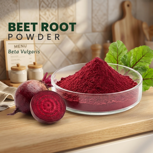 Natural Beet <b>Root</b> Powder Beta Vulgaris Herbal Extract Food Grade Fine Powder in Glass Container for Beverage and Nutrition - Product Image 2
