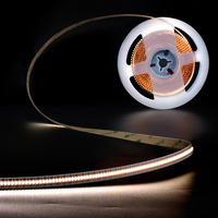 Lampu LED Dekoratif Lumimore 1800k hingga 6500k Strip 8mm 10mm Strip LED 24V DC Putih Hangat Putih Dingin untuk Dalam Ruangan