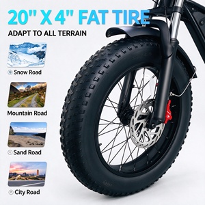 Vélo électrique tout-terrain Fatbike 20 pouces 48V20Ah pour adultes, moteur haute vitesse, frein à disque hydraulique, 7 vitesses, VTT électrique - Vente en gros usine - Product Image 3