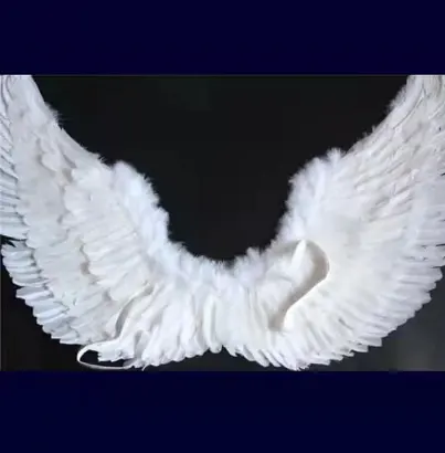 80*60cm New stage performance wings dovetail angel wings party gathering appliance decoration