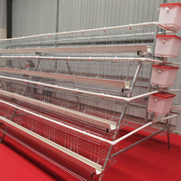 Poulailler de ponte Zhenway 4T5D de type A en fil de fer zinc-aluminium-magnésium, capacité 160 poulets, haute précision, facile à utiliser