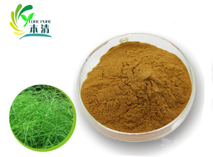 En iyi fiyat ile en kaliteli doğal organik atkuyruğu özü tozu - Product Image 3