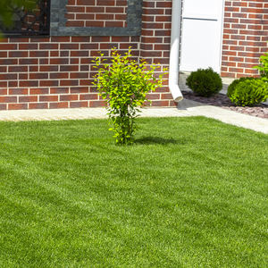 <span class=keywords><strong>Pelouse</strong></span> composite <span class=keywords><strong>synthétique</strong></span> ignifuge écologique d'extérieur, 20mm, sol en gazon artificiel durable pour l'aménagement paysager d'arrière-cour - Product Image 4