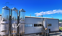 Cuve de Fermentation Conique 30000L 300HL 300BBL en SUS304 316 avec Enveloppe Glycolée à Trois Étages pour Brasserie Industrielle – Kit Complet
