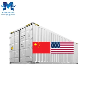 10 Years Cargo Consolidation Container Shipping China to Detroit USA Door to Door Agent