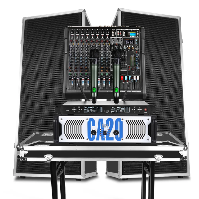 D925 Professional Dual 15 Inch Metal Sound Equipment/Audio Amplifiers/Speakers for Stage Performance