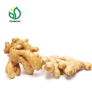 Harga Grosir Pasar Jahe Segar Panen Baru Dari Cina - Product Image 1