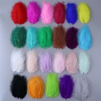 Plumes de confection de mouches, 20 couleurs disponibles, 100 pièces par sac
