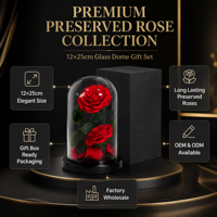 Rose éternelle préservée au toucher réel, longue durée de vie, sous dôme, avec écran LED 15x25cm - Édition Noël et Nouvel An