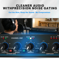 Compresseur/Limiteur Audio Professionnel 166XL, Réducteur de Bruit, Double Canal, Montage en Rack, Processeur Audio, Construction Métallique, Utilisation Scénique, Alimentation CA