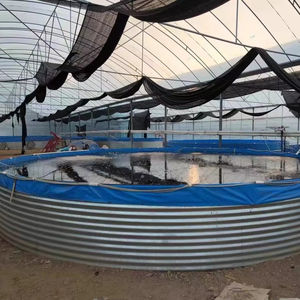 Bacs à poissons en plastique de grande taille, conteneurs à poissons en acier galvanisé, commerciaux, 100 000 litres, pour l'irrigation des fermes de tilapias et la reproduction des poissons - Product Image 1
