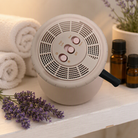 Sèche-cheveux haute vitesse 900W, moteur DC, température constante, ions négatifs, usage salon, hôtel, maison
