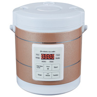 Cuisinière à riz portable 1,6 L pour voiture, 12V 24V DC 220V AC, mini-cuisinière à riz électrique pour voiture, camion, voyage