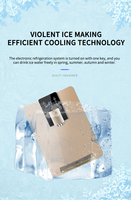 Distributeur d'eau mural Eiree instantané chaud/froid sans réservoir, avec machine à glaçons intégrée, 25L/H de chauffage
