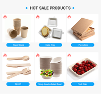 AT PACK Bio Dégradable 4oz 8oz 12oz 16oz 20oz Purée de fibres de canne à sucre jetable Bagasse Crème glacée Tasse à café du désert et couvercles 16oz