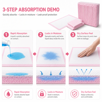 Protège-tapis jetables épaissis pour animaux de compagnie, absorbants et anti-fuites, pour l'apprentissage de la propreté des petits animaux