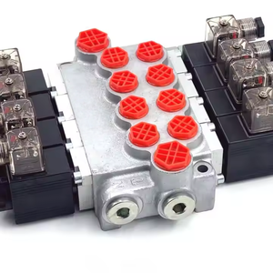 โซลินอยด์วาล์วโซลินอยด์ไฮดรอลิกโซลินอยด์ P40-DKL ปรับแต่งได้โซลินอยด์วาล์ว P40-DKL สำหรับชิ้นส่วนเครื่องจักรก่อสร้างสำหรับระบบไฮดรอลิก - Product Image 2