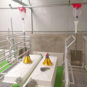 Galvanizli domuz yetiştirme kafesi domuz üreme kafesi - Product Image 4