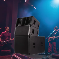 Matériau en bois de fabrication professionnelle en Chine V20 Double armoire de haut-parleurs Line Array à 2 voies de 10 pouces