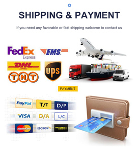 Sofá Inflable para Bebés Polar Bear, para Bebés de <span class=keywords><strong>3</strong></span> Meses en Adelante, Asiento de Piso para Comer con Bomba de Aire Integrada - Product Image 5