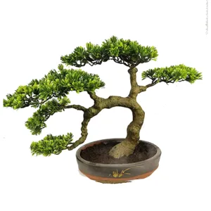 Yüksek kaliteli yapay Plante karşılama çam bonsai ağacı sıcak satış bitkiler için dekoratif kapalı açık