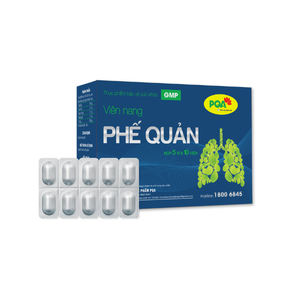 Cápsulas de Gelatina Dura Naturales a Base de Hierbas para la Salud Bronquial, Suplementos para la Salud Pulmonar, Apoyo Inmunológico, MOQ Bajo - Product Image 5