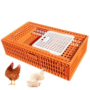 Retech — cage de transport de poules en plastique, cage de haute qualité, pour les oiseaux, nouveauté