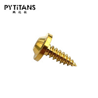 Prix usine M4 M5 GR5 Titane haute résistance moto vis vis autotaraudeuse par PYTITANS