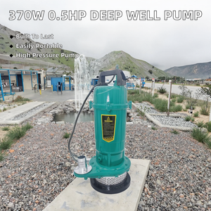 Bomba sumergible portátil OEM LB de 370W 0.5HP Bomba de agua de pozo profundo de baja presión - Product Image 2