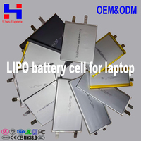 Baterai Sel Lithium Ion Polimer Semi-Solid State OEM Ukuran 3.7V 3.8V 3.85V 500MAH 1200MAH 2500MAH dengan Siklus Hidup Panjang