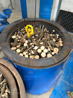 Four à biochar universel vertical de type palan pour la carbonisation des coques de noix de coco, des coques de noix et des briquettes de bois