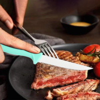 Ensemble de couteaux à steak ergonomiques en acier inoxydable 6 pièces pour chef avec couteaux à éplucher et utilitaires, manche en PP sûr, prise en main facile