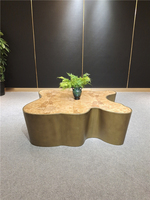 Table basse de salon au design original, nouveau style, meilleur prix de gros