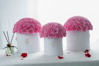 Vente en gros de roses éternelles naturelles de haute qualité personnalisées, boîtes de roses éternelles, rose préservée dans une boîte ronde, fleur