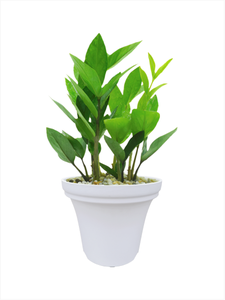Classic Flared UV-Resistant Flower <b>Pot</b> Long-Term Use Product for Outdoor <b>Plants</b> & Decor <b>Cheap</b> Price - Product Image 3