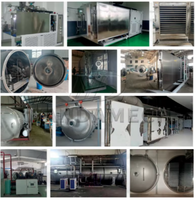 Fruit Vacuüm Vriesdroger Machine Lyofilisator Industrieel Laboratorium Voedsel Vriesdroger Voor Groente