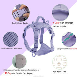 Harness Anjing Desainer dengan Tali, Set Harness dan Tali Anjing Tanpa Tarik, Bahan Neoprene Lembut, Bernapas, Logo Dapat Disesuaikan, Diskon Besar - Product Image 3