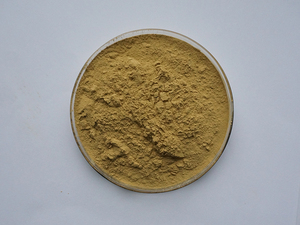 インセンサプライバナバ抽出物コロソリン酸粉末コロソリン酸 - Product Image 5