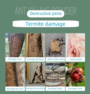 023 <span class=keywords><strong>Polvo</strong></span> de Fipronil al 0.5%, Pesticida Ecológico para el Control de Hormigas, Uso en Interiores y Exteriores, Directo de Fábrica - Product Image 3