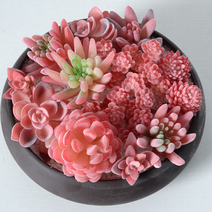 Succulentas Artificiales de la Serie Roja, Plantas Verdes Decorativas para el Hogar, Mini Adorno Combinado, Bonsái Artificial en Maceta - Product Image 1