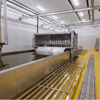 Ligne complète d'abattage de porcs, machine d'abattage automatique de porcs, équipement d'abattage de porcs