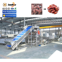 Ce Dadels Pasta Productielijn Data Reinigingssorteermachine Data Fruitverwerkingsmachine