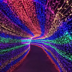 10 Meters 100LED Male And Female Light String Outdoor Waterproof Project Lighting Color Christmas Window Decoration Lights